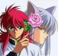 Angelwing White Rose